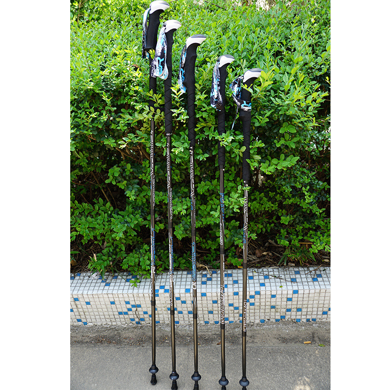 Туристические палки PIONEER из – обзор и цена Trekking Pole Carbon